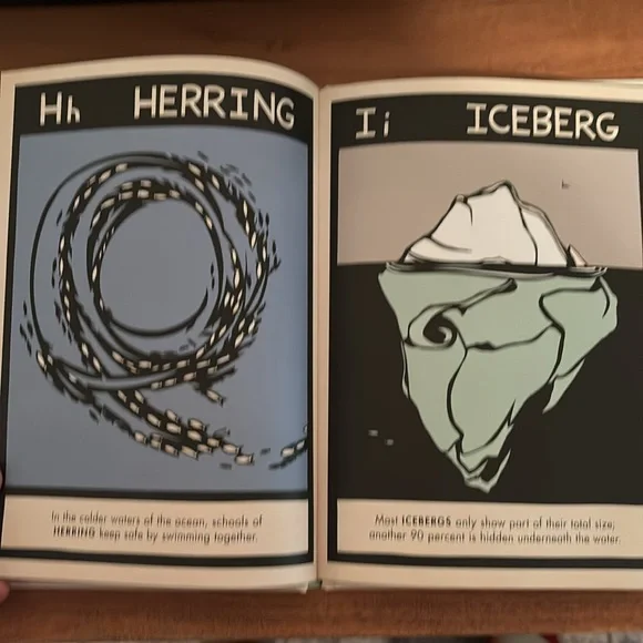 B is for Bear by Hannah Viano alphabet book PNW - Picture 7 of 8